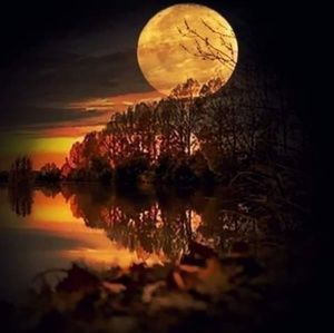 Meet your Posher, Rene